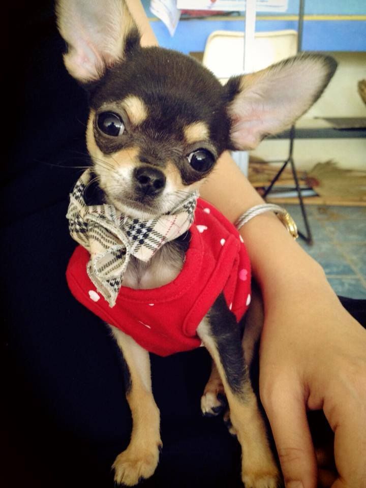 101246553831.jpg jhk-1750990347224.jpg