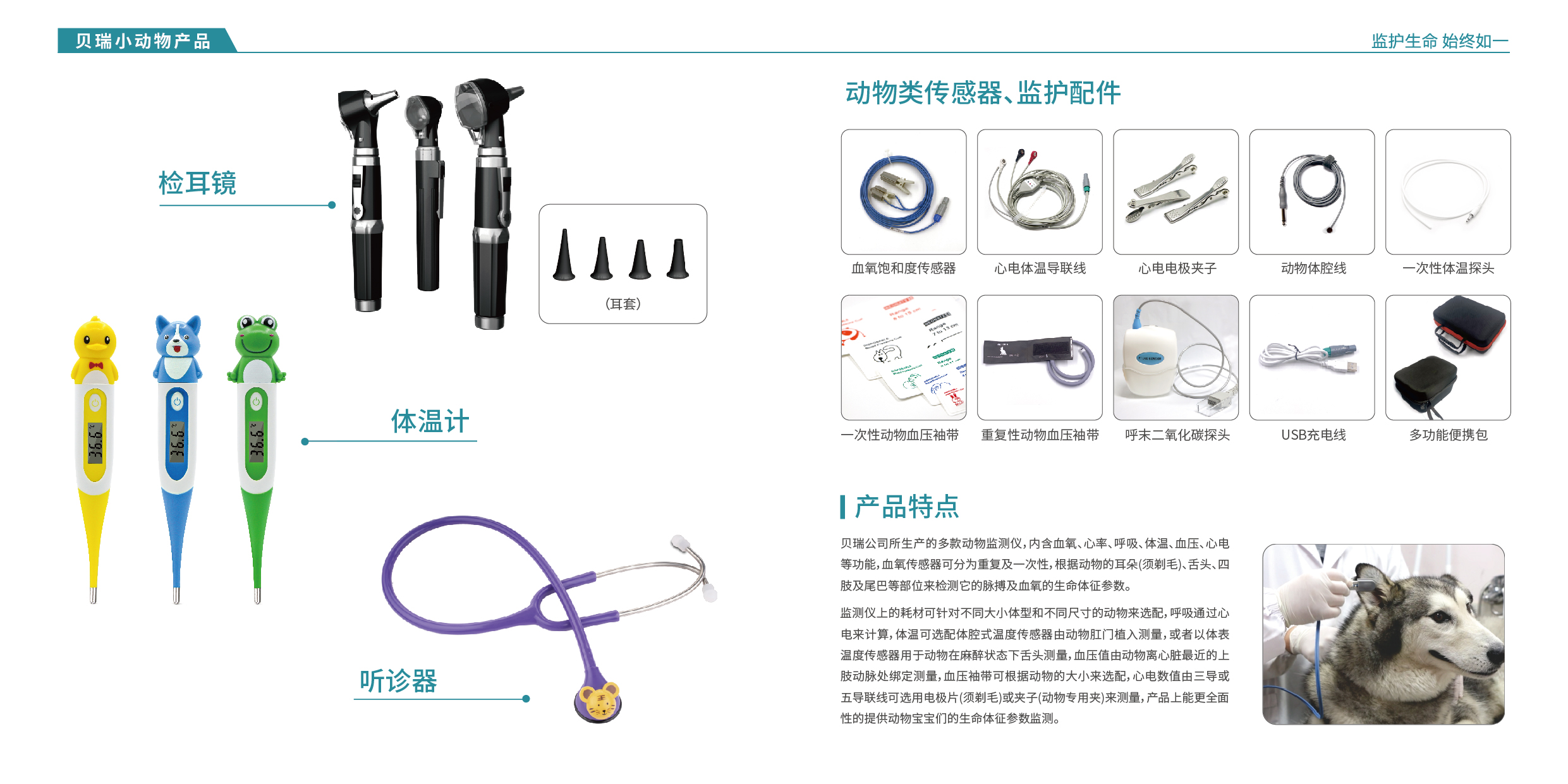 105834861468.jpg 2025小動(dòng)物中文-05.jpg