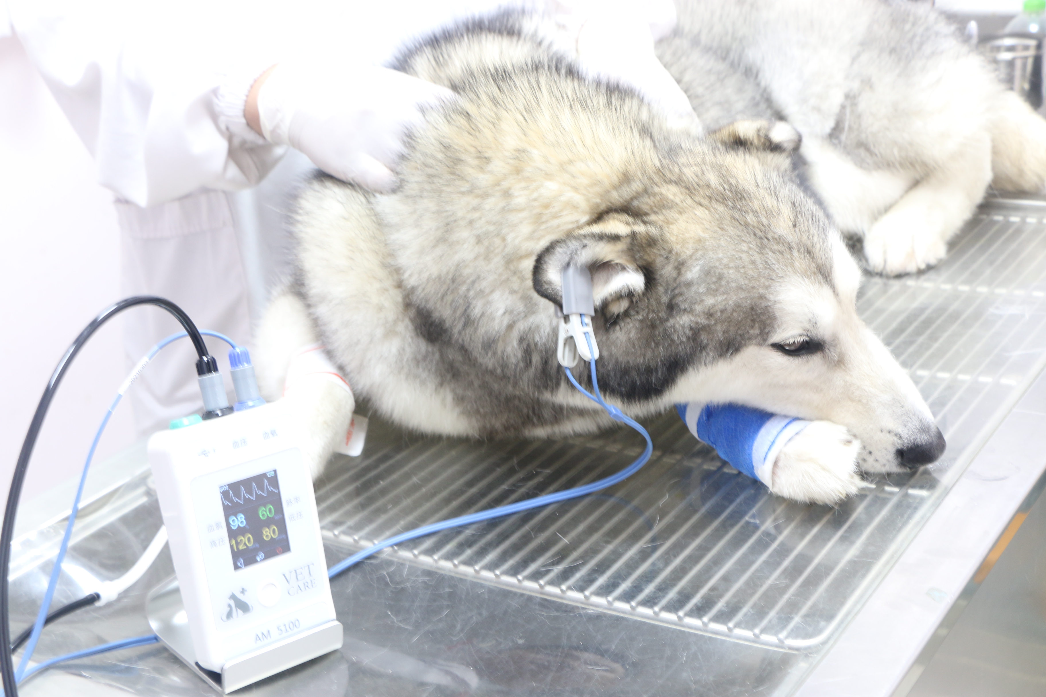 110449323833.png image.png