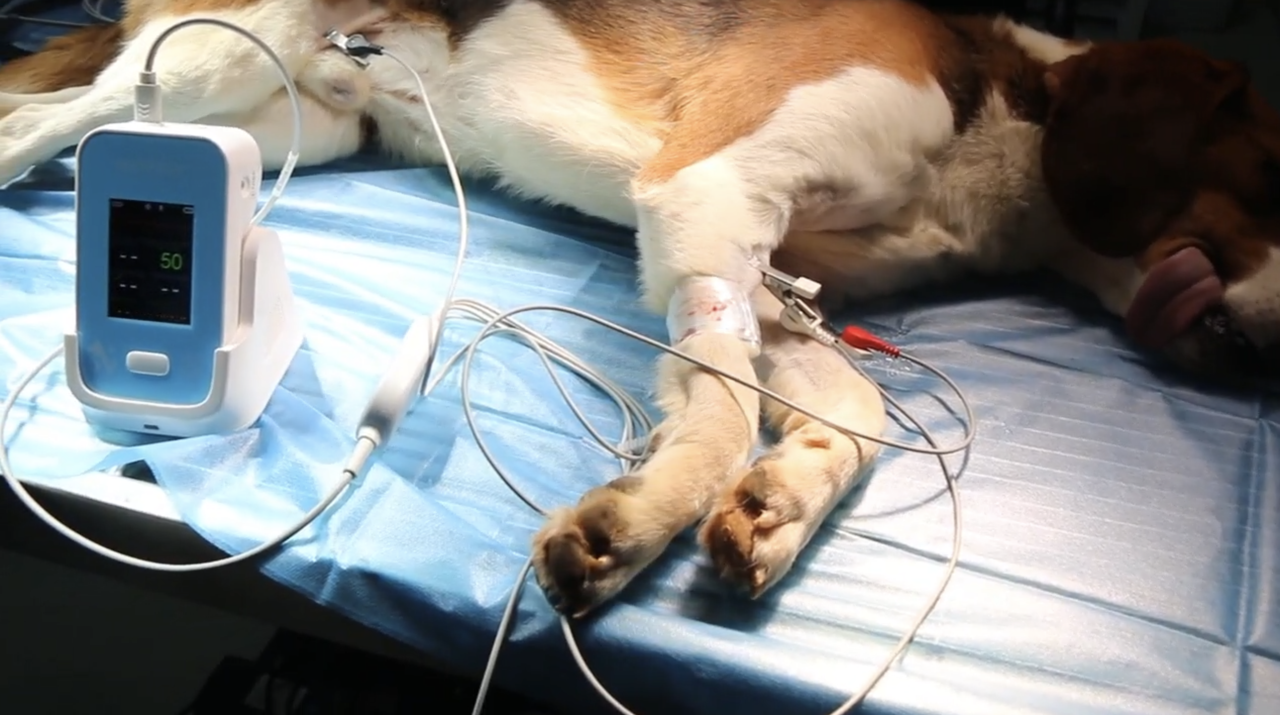 110847148125.png image.png